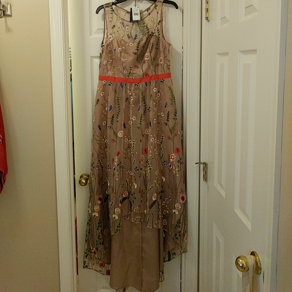 Adrianna Papell Embroidered High Low gown